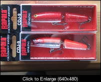 rapala 001.JPG